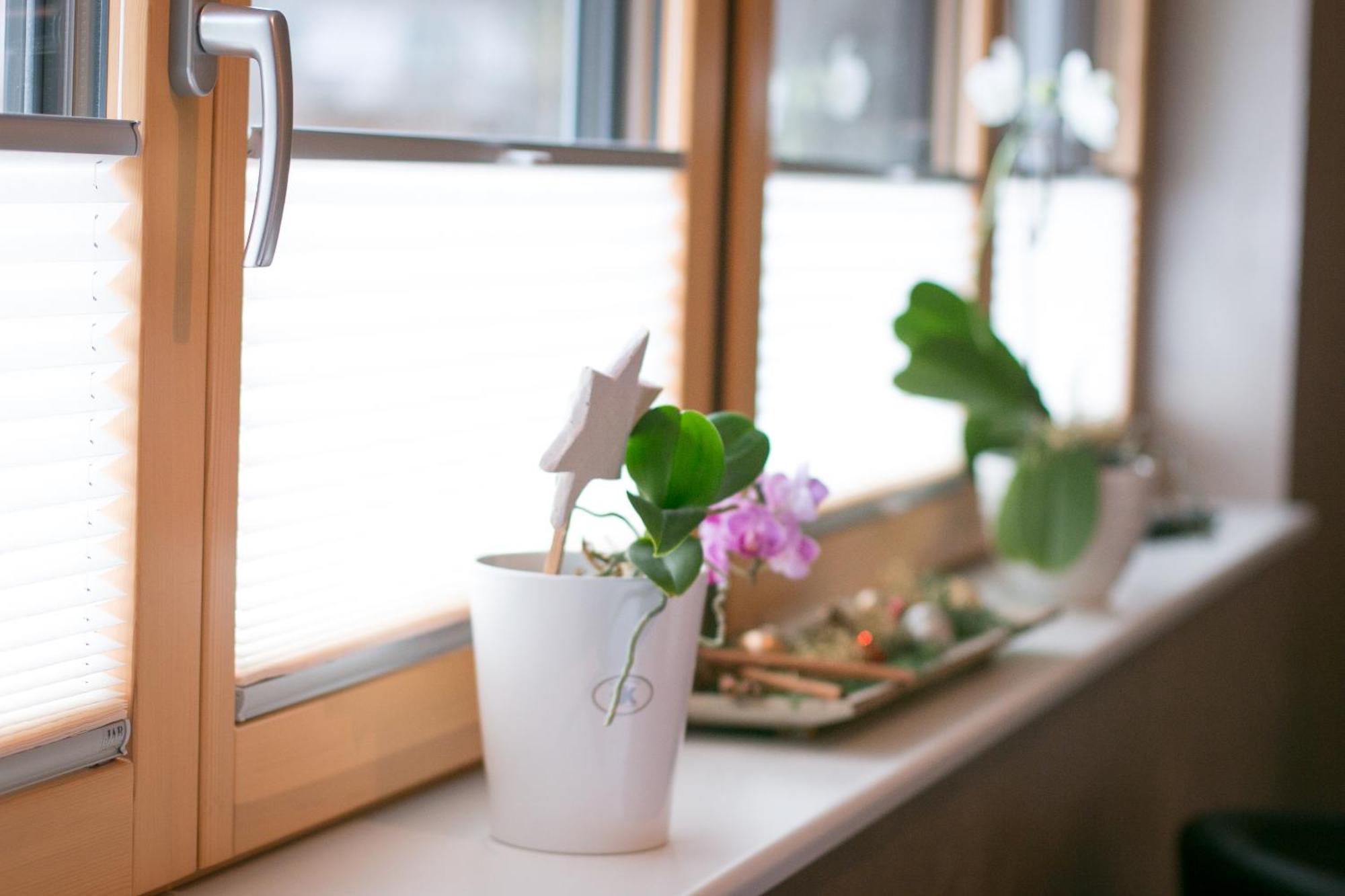 Talblick Appartement