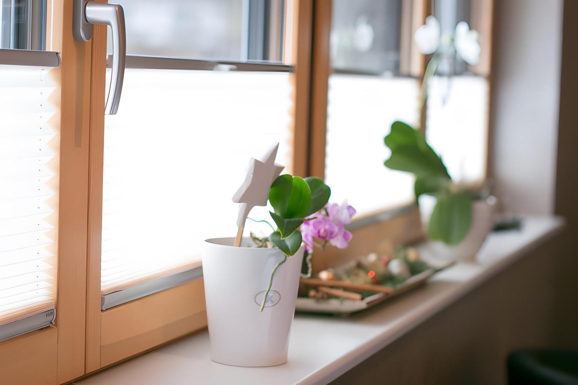 Talblick Appartement